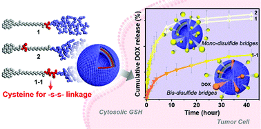 Graphical abstract: Glutathione-adaptive peptide amphiphile vesicles rationally designed using positionable disulfide-bridges for effective drug transport