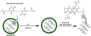 Graphical abstract: Confined polymerisation of bis-thyminyl monomers within nanoreactors: towards molecular weight control
