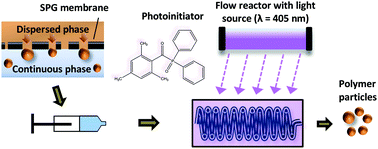 Graphical abstract: Miniemulsion photopolymerization in a continuous tubular reactor: particle size control via membrane emulsification