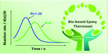 Graphical abstract: Monitoring the structure–reactivity relationship in epoxidized perilla and safflower oil thermosetting resins