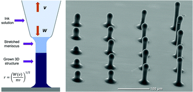 Graphical abstract: Direct writing of 3D conjugated polymer micro/nanostructures for organic electronics and bioelectronics