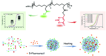 Graphical abstract: Poly(ε-caprolactone) with pH and UCST responsiveness as a 5-fluorouracil carrier