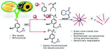 Graphical abstract: Epoxy-functionalised 4-vinylguaiacol for the synthesis of bio-based, degradable star polymers via a RAFT/ROCOP strategy