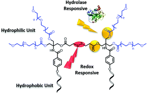 Graphical abstract: Stimuli-responsive non-ionic Gemini amphiphiles for drug delivery applications