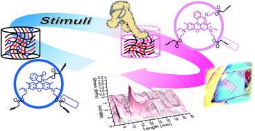 Graphical abstract: Mechanochromic double network hydrogels as a compression stress sensor