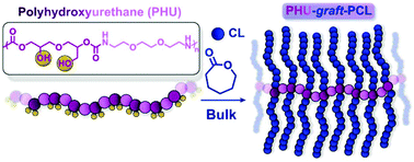 Graphical abstract: Solubility-governed architectural design of polyhydroxyurethane-graft-poly(ε-caprolactone) copolymers