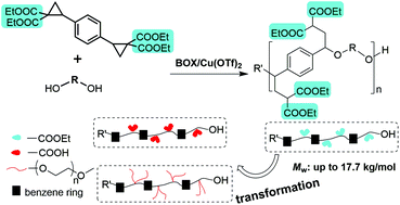 Graphical abstract: Synthesis of novel polyethers with abundant reactive sites and diverse skeletons based on the ring-opening reaction of D–A cyclopropanes