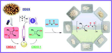 Graphical abstract: Synthesis and characterization of BPA-free polyesters by incorporating a semi-rigid cyclobutanediol monomer