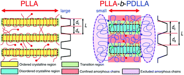 Graphical abstract: Crystallization behavior, structure, morphology, and thermal properties of crystalline and amorphous stereo diblock copolymers, poly(l-lactide)-b-poly(dl-lactide)