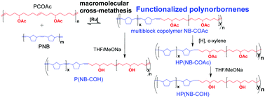 Graphical abstract: Facile synthesis of norbornene–ethylene–vinyl acetate/vinyl alcohol multiblock copolymers by the olefin cross-metathesis of polynorbornene with poly(5-acetoxy-1-octenylene)