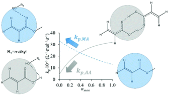 Graphical abstract: A comparison of the solution radical propagation kinetics of partially water-miscible non-functional acrylates to acrylic acid