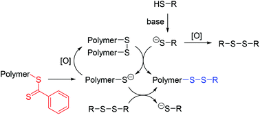 Graphical abstract: Aminolysis induced functionalization of (RAFT) polymer-dithioester with thiols and disulfides