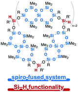 Graphical abstract: Well-defined hydrogen and organofunctional polysiloxanes with spiro-fused siloxane backbones