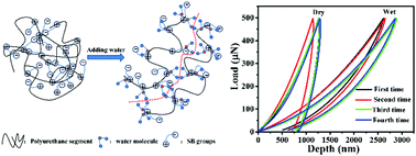 Graphical abstract: The synthesis of polyurethane with mechanical properties that are responsive to water retention states