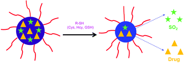 Graphical abstract: Mercapto-responsive polymeric nano-carrier capable of releasing sulfur dioxide