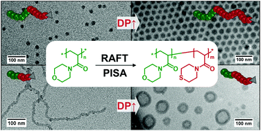 Graphical abstract: Elucidating preparation-structure relationships for the morphology evolution during the RAFT dispersion polymerization of N-acryloyl thiomorpholine