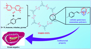 Graphical abstract: A metal-free approach to bipyridinium salt-based conjugated porous polymers with olefin linkages