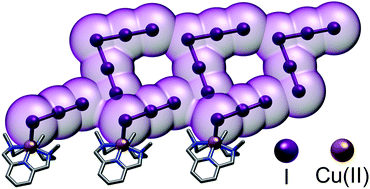 Graphical abstract: Stabilization of polyiodide networks with Cu(ii) complexes of small methylated polyazacyclophanes: shifting directional control from H-bonds to I⋯I interactions