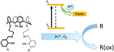 Graphical abstract: Light controlled oxidation by supramolecular Zn(ii) Schiff-base complexes
