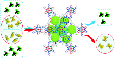 Graphical abstract: A Dy6-cluster-based fcu-MOF with efficient separation of C2H2/C2H4 and selective adsorption of benzene
