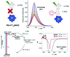 Graphical abstract: Acid-triggering of light-induced charge-separation in hybrid organic/inorganic molecular photoactive dyads for harnessing solar energy