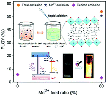 Graphical abstract: Dual-color emitting Mn2+ ion doped (PEA)2PbBr4 perovskite towards white light-emitting diodes