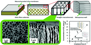 Graphical abstract: Diatom-mimetic channeled mesoporous silica membranes: self-organized formation of a hierarchical porous framework