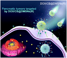 Graphical abstract: Carborane based mesoporous nanoparticles as a potential agent for BNCT
