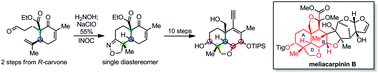 Graphical abstract: Rapid construction of the ABD tricyclic skeleton in meliacarpinin B from carvone enabled by an INOC strategy