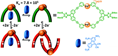 Graphical abstract: Tuning the structure and the properties of dithiafulvene metalla-assembled tweezers