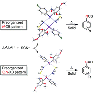 Graphical abstract: Diaryliodonium as a double σ-hole donor: the dichotomy of thiocyanate halogen bonding provides divergent solid state arylation by diaryliodonium cations
