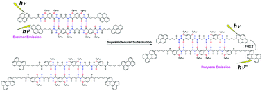 Graphical abstract: Determination of association constants and FRET in hydrazide-based molecular duplex strands