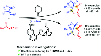 Graphical abstract: Diastereodivergent aminocatalyzed spirocyclization strategies using 4-alkylideneisoxazol-5-ones and methyl vinyl ketones