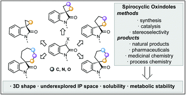 Graphical abstract: Stereoselective synthesis and applications of spirocyclic oxindoles