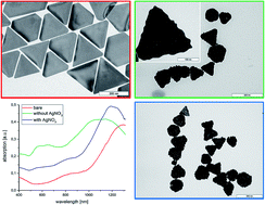 Graphical abstract: Spiked gold nanotriangles: formation, characterization and applications in surface-enhanced Raman spectroscopy and plasmon-enhanced catalysis