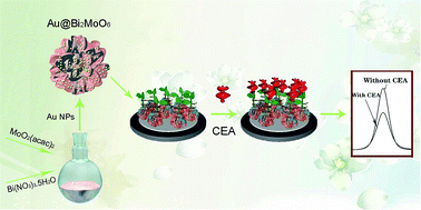 Graphical abstract: A new Bi2MoO6 nano-tremella-based electrochemical immunosensor for the sensitive detection of a carcinoembryonic antigen