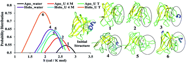 Graphical abstract: Conformational dynamics of superoxide dismutase (SOD1) in osmolytes: a molecular dynamics simulation study
