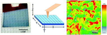 Graphical abstract: Identification of the local electrical properties of crystalline and amorphous domains in electrochemically doped conjugated polymer thin films
