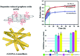 Graphical abstract: Preparation and characterization of antibacterial dopamine-functionalized reduced graphene oxide/PLLA composite nanofibers