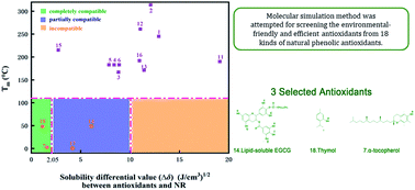 Graphical abstract: Insight into the anti-aging mechanisms of natural phenolic antioxidants in natural rubber composites using a screening strategy based on molecular simulation