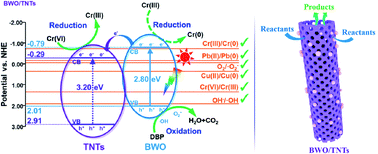 Graphical abstract: The simultaneous removal of heavy metals and organic contaminants over a Bi2WO6/mesoporous TiO2 nanotube composite photocatalyst