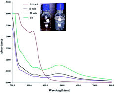 Graphical abstract: Bio-molecule functionalized rapid one-pot green synthesis of silver nanoparticles and their efficacy toward the multidrug resistant (MDR) gut bacteria of silkworms (Bombyx mori)