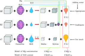 Graphical abstract: The role of Mg value and moisture content of decomposed products during the decomposition process of carnallite in aqueous solution: a novel monitoring method