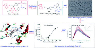Graphical abstract: New chalcone derivatives: synthesis, antiviral activity and mechanism of action