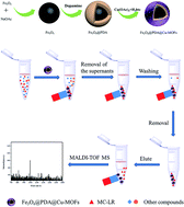 Graphical abstract: Synthesis of magnetic core–shell Fe3O4@PDA@Cu-MOFs composites for enrichment of microcystin-LR by MALDI-TOF MS analysis