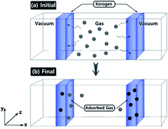 Graphical abstract: Adsorption based realistic molecular model of amorphous kerogen