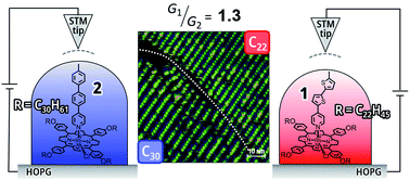 Graphical abstract: STM apparent height measurements of molecular wires with different physical length attached on 2-D phase separated templates for evaluation of single molecular conductance