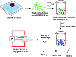Graphical abstract: Formation of dialysis-free Kombucha-based bacterial nanocellulose embedded in a polypyrrole/PVA composite for bulk conductivity measurements