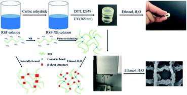 Graphical abstract: Preparing 3D-printable silk fibroin hydrogels with robustness by a two-step crosslinking method