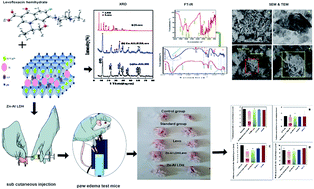Graphical abstract: Sustainable waste management and recycling of Zn–Al layered double hydroxide after adsorption of levofloxacin as a safe anti-inflammatory nanomaterial